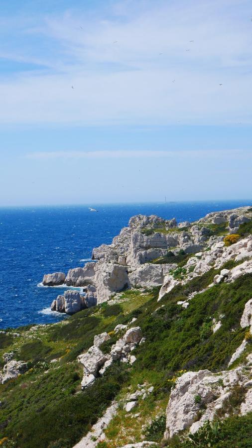 La Maison Du Parc I Standing 3 8 Pers Parking Clim Wifi Velodrome * Marseilles